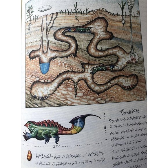 Luigi Serafini Codex Seraphinianus Print 80 - Picture 5 of 8